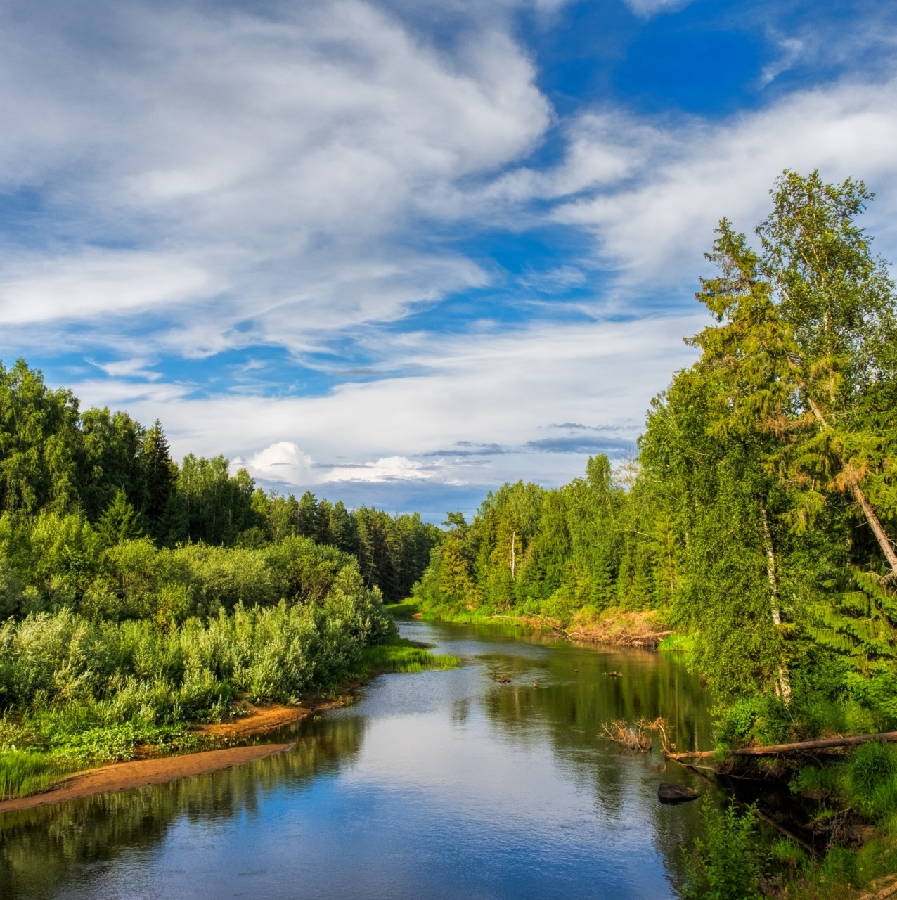 SQ nord de la russie copy
