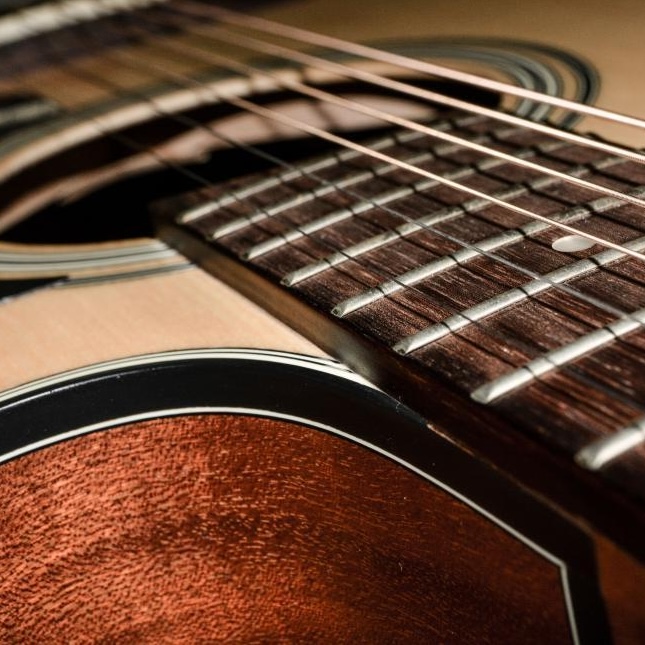 SQ acoustic guitar copy