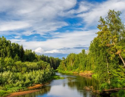 SQ nord de la russie copy